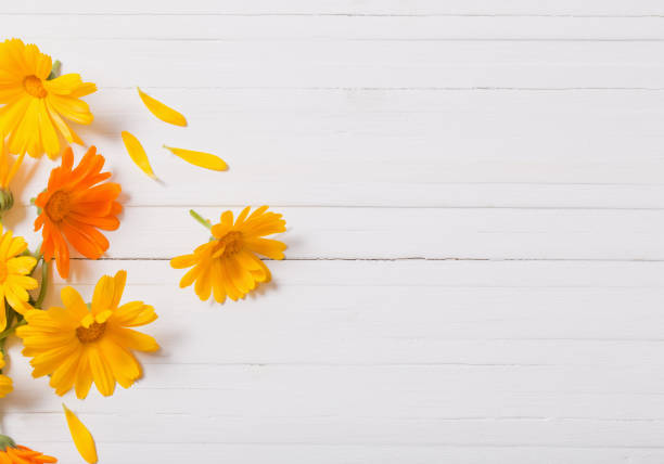 istock Calendula (Marigold) herbal tea  on white wooden table 819565274