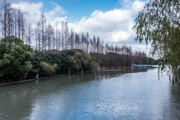 istock view of river in natural park 819565354