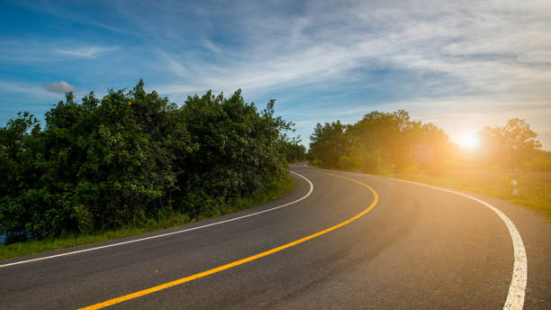 Windy road through forest lead to sunset
