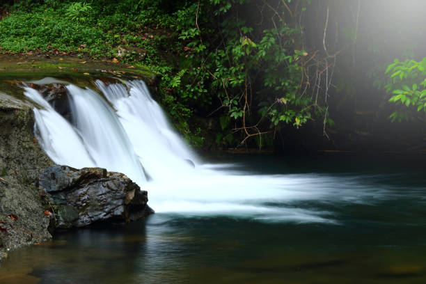 istock Small Waterfall in shallow river in deep forest jungle, 819581512