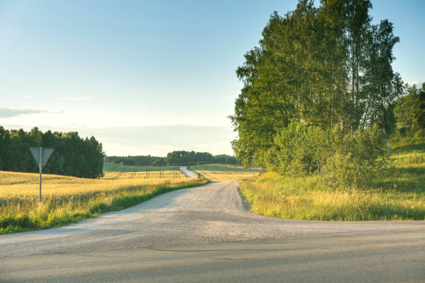istock Field winding road through the green meadow 819581826