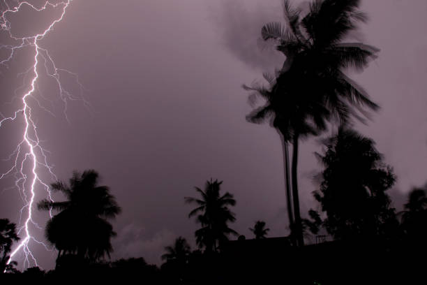 istock Thunder, lightning storm in the raining night background over a house and palm tree. In Mumbai 819590710