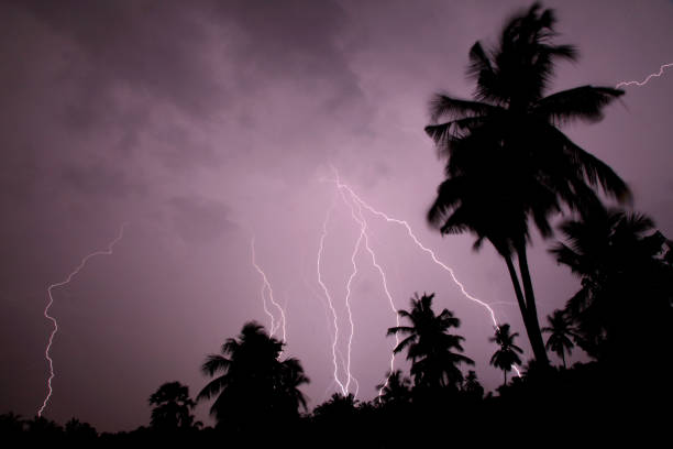 istock Thunder, lightning storm in the raining night background over a house and palm tree. In Mumbai 819590738