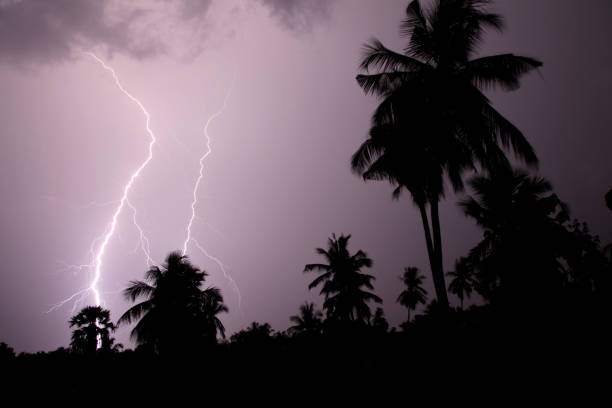 istock Thunder, lightning storm in the raining night background over a house and palm tree. In Mumbai 819590772