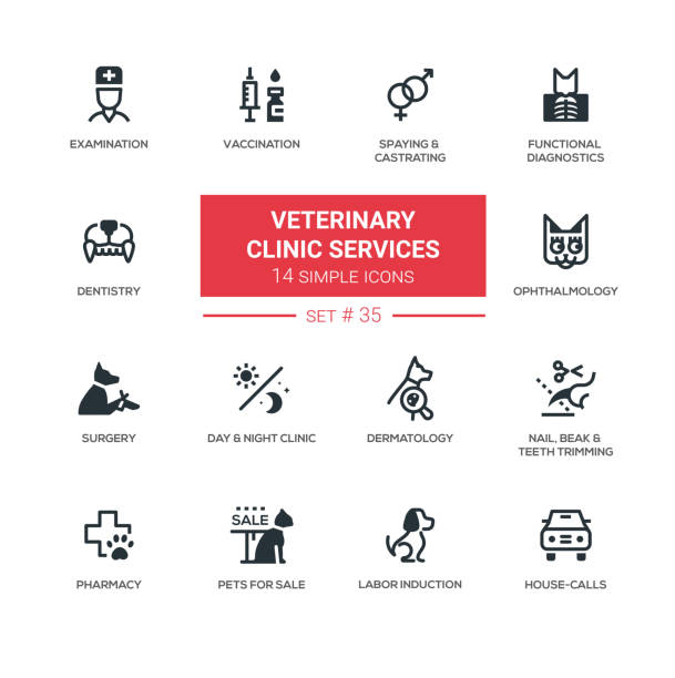 ilustrações, clipart, desenhos animados e ícones de serviços de clínica veterinária - modernos ícones simples, conjunto de pictogramas - pharmacy symbol surgery computer icon