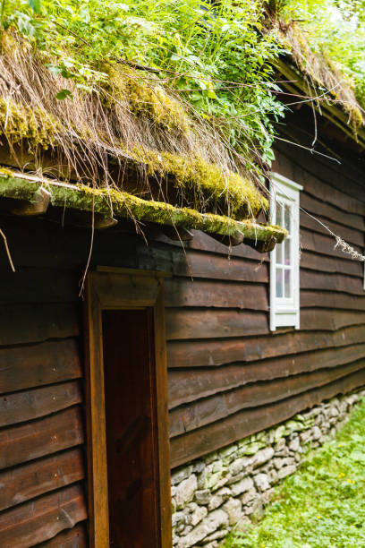 istock House roof covered with moss 819628656