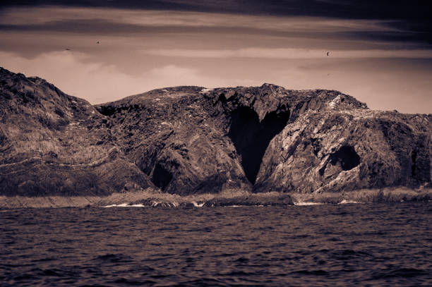 Kedge Island, County Cork, Ireland.  This un-inhabited North Atlantic island lies of the coast of West Cork, close of the entrance of the harbour of Baltimore.   It is pock marked with caves, including one with a heart-shaped entrance.  Toned and grainy image.