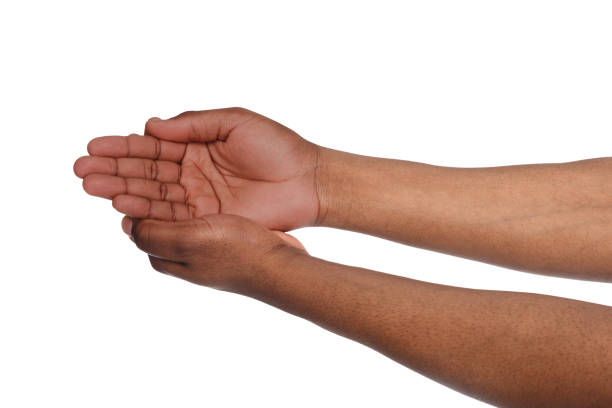 istock Black male hands keeping in cupped shape, cutout 819654100