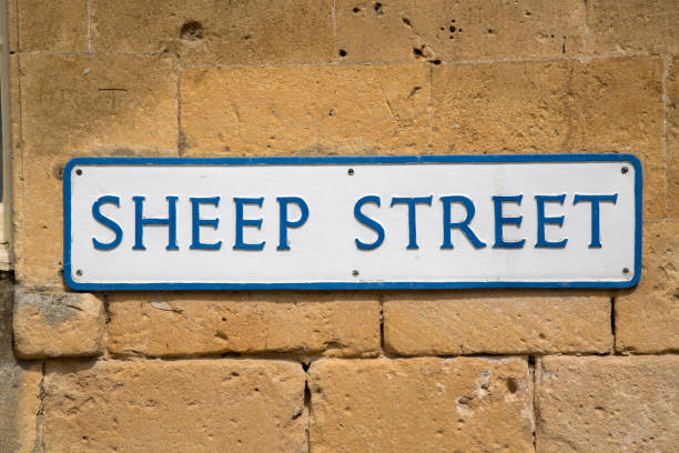 istock Sheep Street Sign, England 819659072