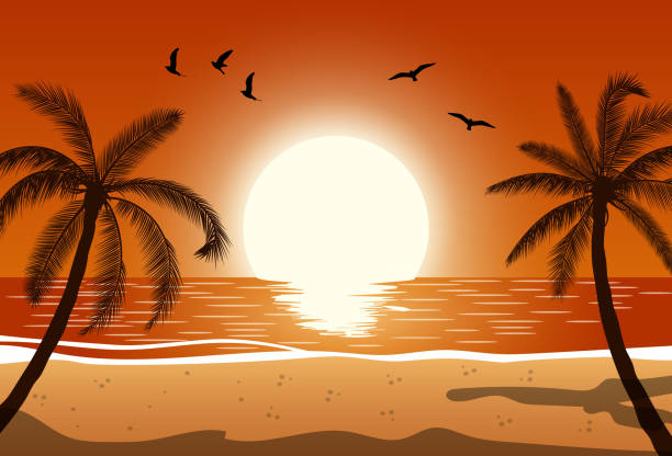 Silhouette palm tree on beach Silhouette palm tree on beach under sunset sky background. Vector illustration phuket beach party stock illustrations