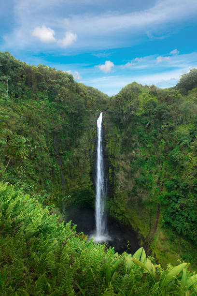 akaka falls state park, big island hawaii - hawaii islands big island waterfall nobody foto e immagini stock