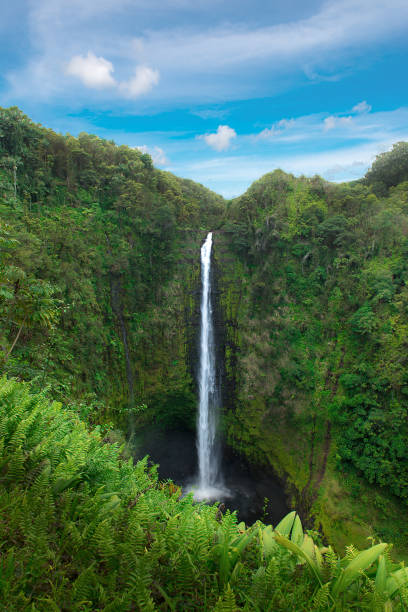Akaka Falls State Park in sunny day,  Big Island Hawaii