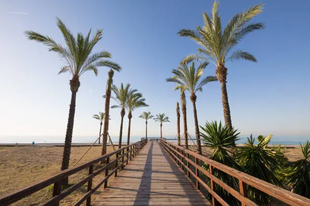 wooden footway with palm trees in Els Terrers Beach in Benicassim, Castellon, Valencia, Spain, Europe. Blue clear sky and Mediterranean Sea