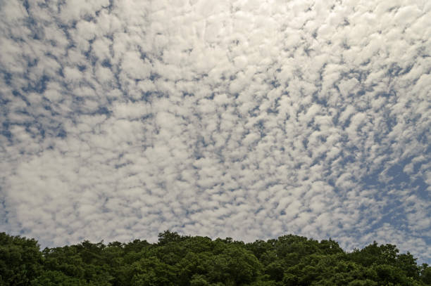 Scales cloud sky