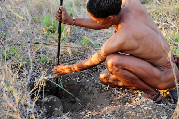 san - bushman fotografías e imágenes de stock