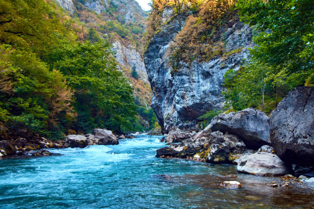 istock landscape with mountains, forest and a river. Mountain nature landscape 819709994