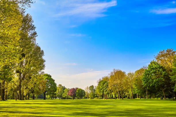 istock green grass field meadow. landscape panorama 819710050