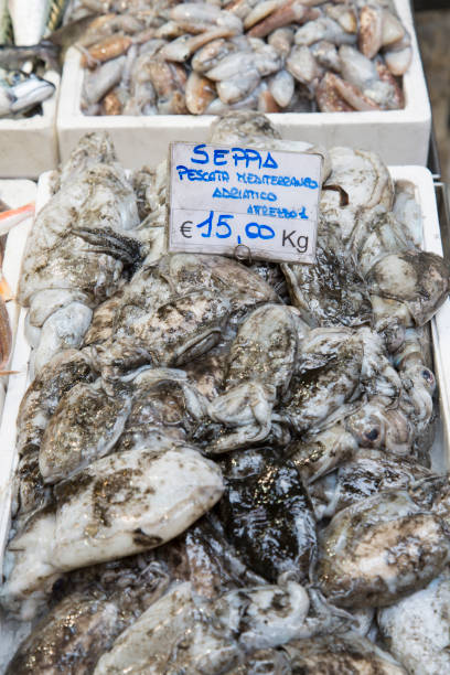 istock Cuttlefish for Sale on Market Stall, Bologna 819712250