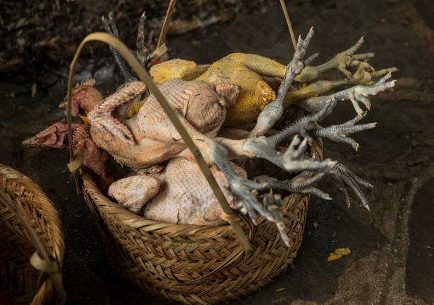 Chinese chicken with very little meat, mainly grown for feet which are a Chinese delicacy