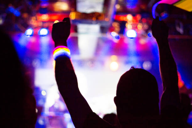 Rear view of people enjoying music concert at a nightclub.\n