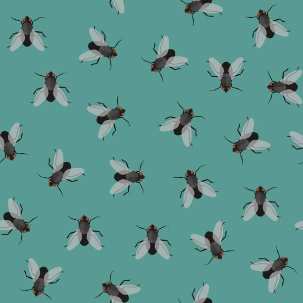 illustrazioni stock, clip art, cartoni animati e icone di tendenza di modello senza cuciture con mosche - fly flying housefly insect