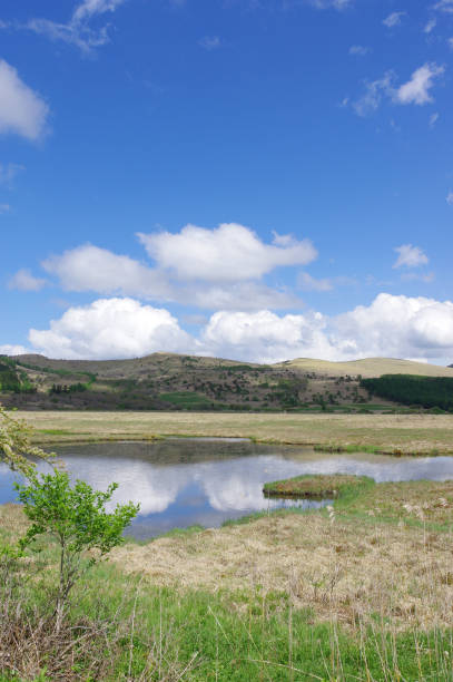 istock Yashima marshland（Nagano prefecture） 819737698