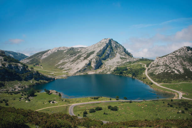 lago di picos de europa - covadonga foto e immagini stock