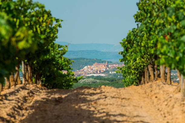La Rioja, Spain A beautiful image of a village as seen from vineyards in La Rioja region in Spain. La Rioja is known for the production of wine. rioja photos stock pictures, royalty-free photos & images