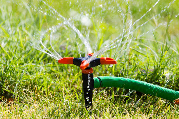 istock Splashing water on the lawn as a background 819749330