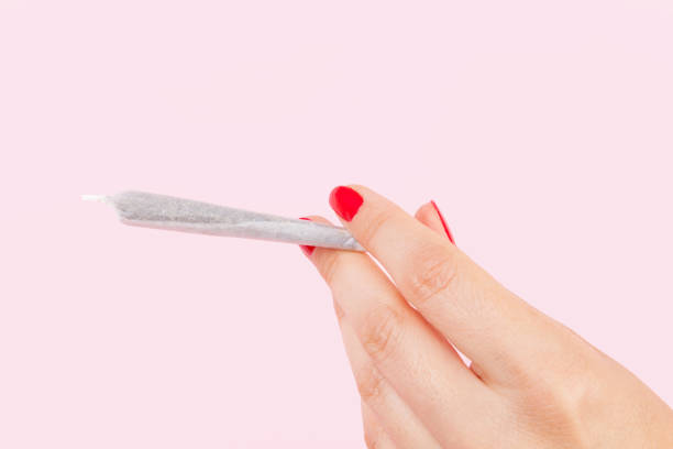 Female stoner. Female hand with red fingernails holding cannabis joint isolated on pink background. Female marijuana abuse. blunts stock pictures, royalty-free photos & images