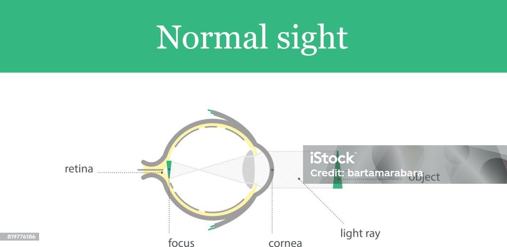 Normal Viewpoint Illustration Normal Sight Stock Illustration - Download Image Now ...