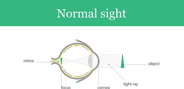 Normal Viewpoint Illustration Normal Sight Stock Illustration - Download Image Now ...