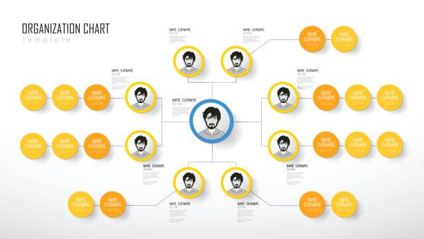 ilustrações, clipart, desenhos animados e ícones de modelo de gráfico de organização com círculos coloridos e lugar para o seu texto. - organization chart illustrations