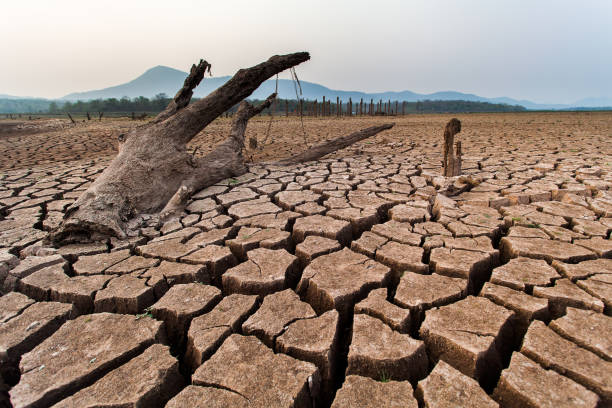 istock Cracked dry land without water.Abstract background. 819804756