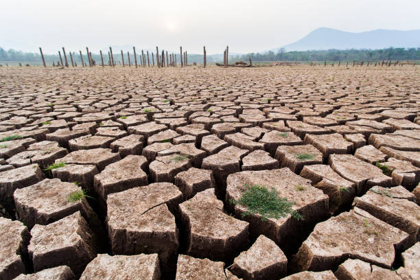 istock Cracked dry land without water.Abstract background. 819804806
