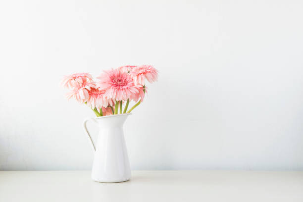 istock Indoor plant on wooden table and white wall 819821052