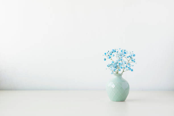 istock Indoor plant on wooden table and white wall 819832732