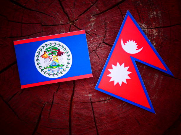 istock Belize flag with Nepali flag on a tree stump isolated 819832796