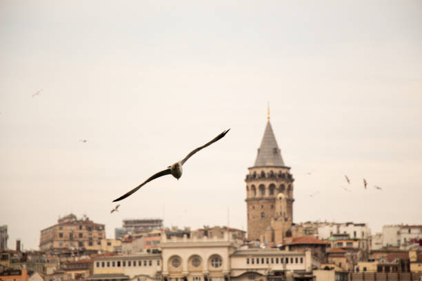 Galata Tower from Byzantium times in Istanbul
