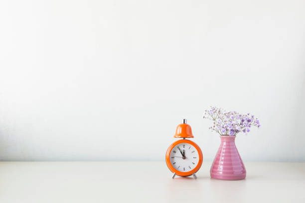 istock Indoor plant on wooden table and white wall 819839488