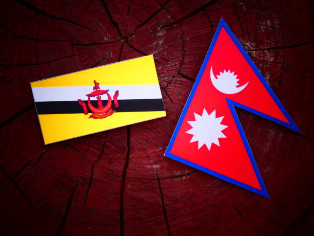 istock Brunei flag with Nepali flag on a tree stump isolated 819839498