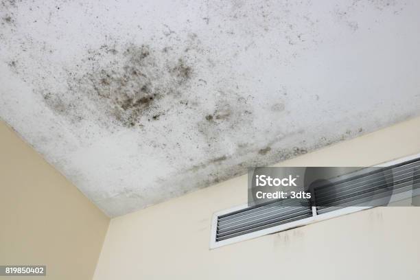Ceiling Mold Stock Photo - Download Image Now - Fungal Mold, Air Conditioner, Ceiling