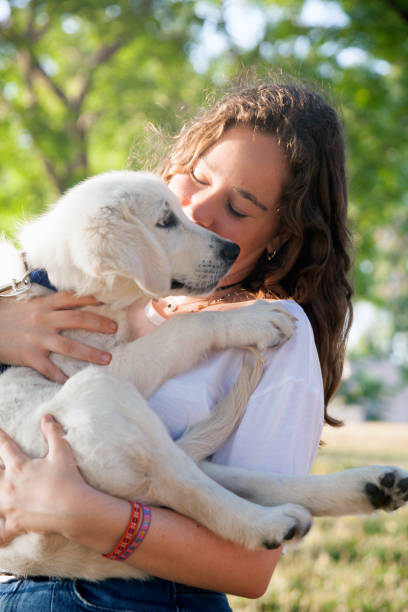 istock Girl with pet labrador retriever 819850748