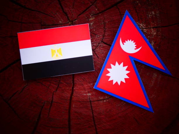 istock Egyptian flag with Nepali flag on a tree stump isolated 819856812