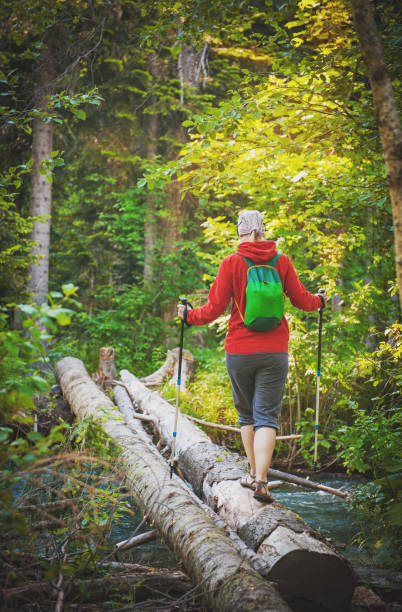 istock Woman hiker with sticks walking in forest. Tourism concept 819870094