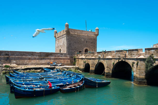 istock fisherboats, essaouira, morocco 819882916