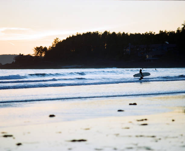 istock Surfer coming in for the night, Tofino BC 819883210