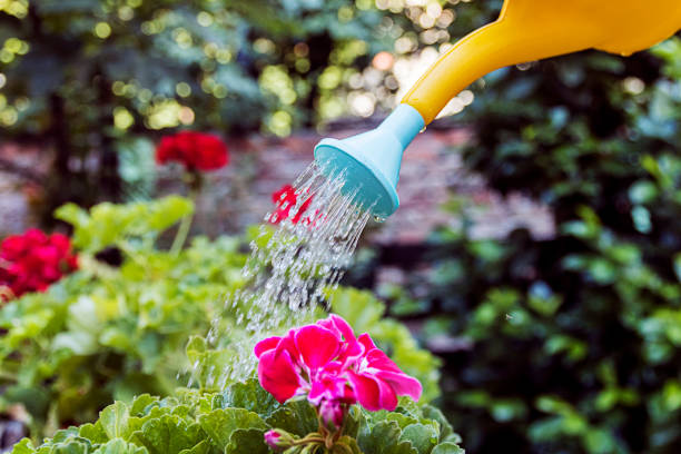 istock Care for and conserve nature 819883784
