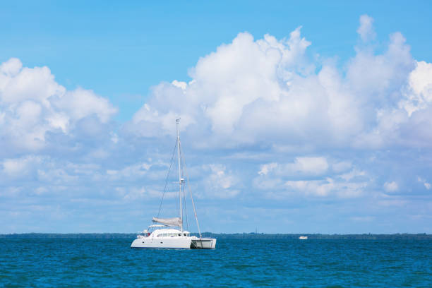Catamaran in miami florida