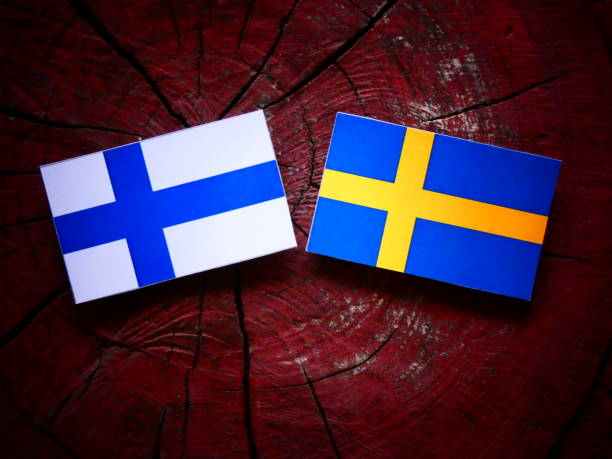 istock Finnish flag with Swedish flag on a tree stump isolated 819883824